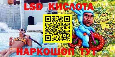 крисы Кандалакша